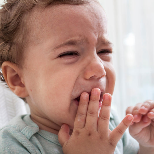 Baby Beißring mit Zahnbürste - calme